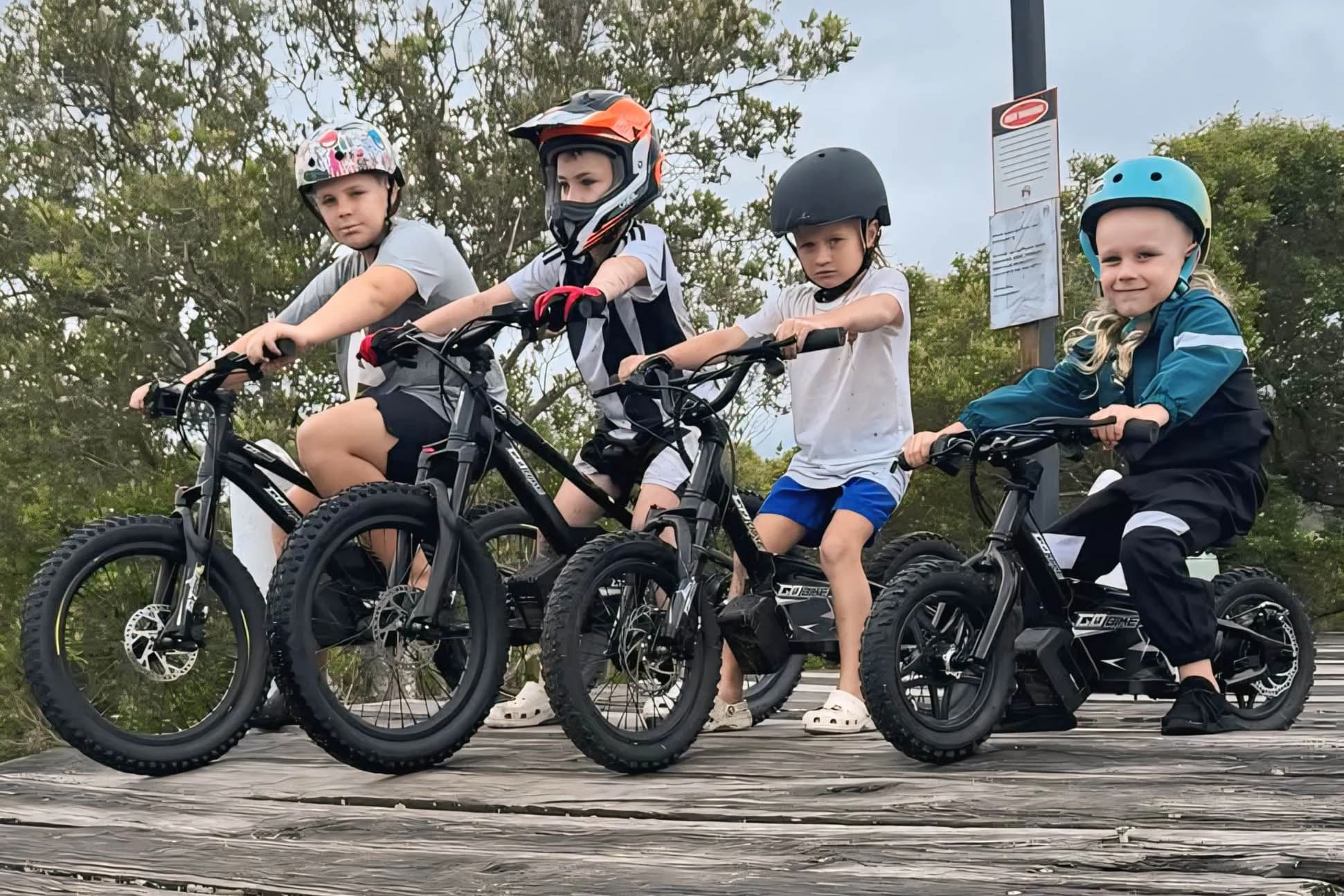 A GoBike battery