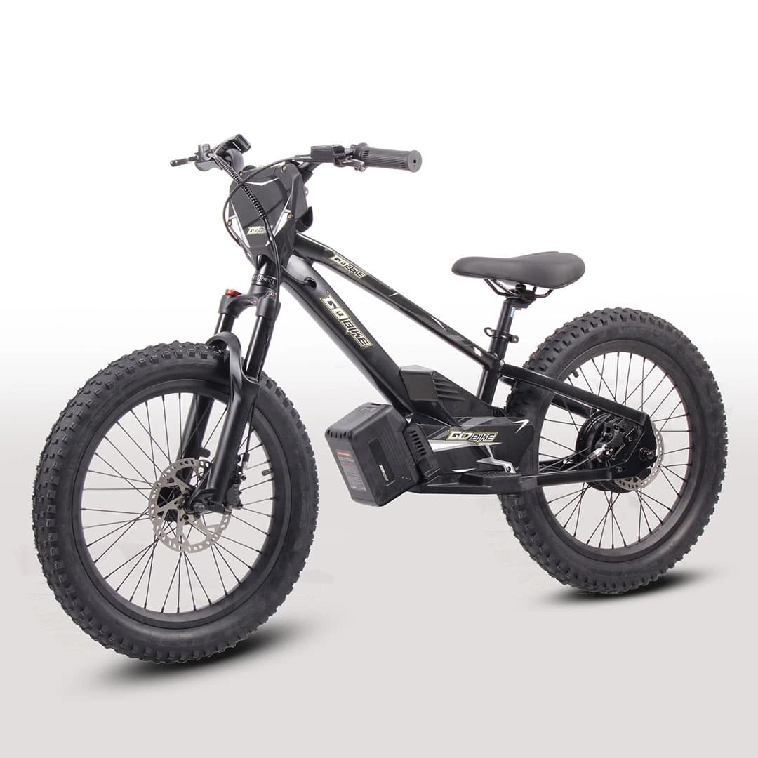 GoBike 20 Inch Electric Bike for Kids & Teens –For Ages 8–14